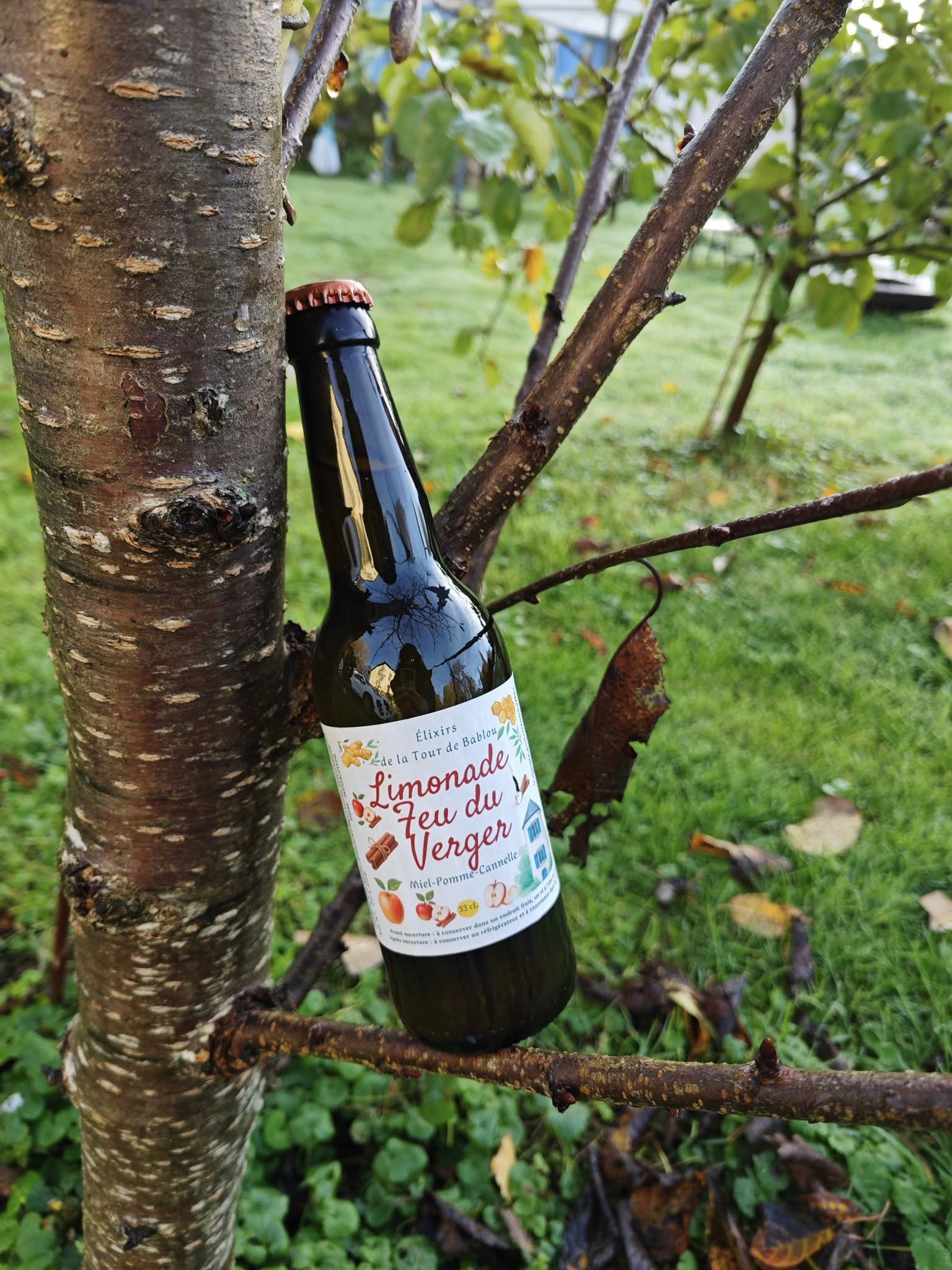Limonade Feu du verger – Miel, Pomme, Cannelle