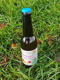 Limonade Lueur d'hiver – Miel, Kaki et Baies roses