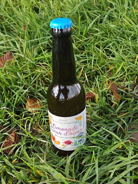 Limonade Lueur d'hiver – Miel, Kaki et Baies roses