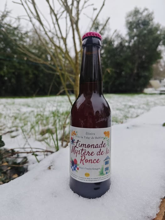 Limonade mystère de la ronce– Miel, fruits rouges