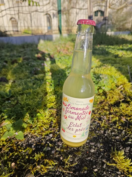 Limonade Eclat des prés - Miel, fraise, verveine
