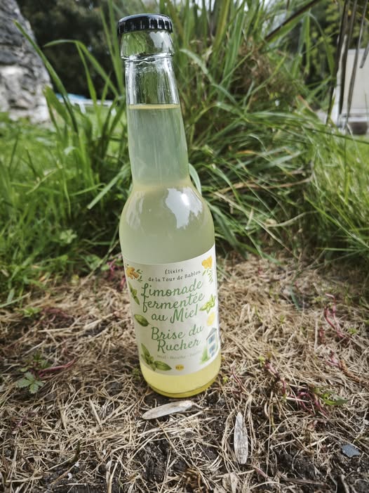 Limonade Brise du rucher - Miel, Menthe, Basilic