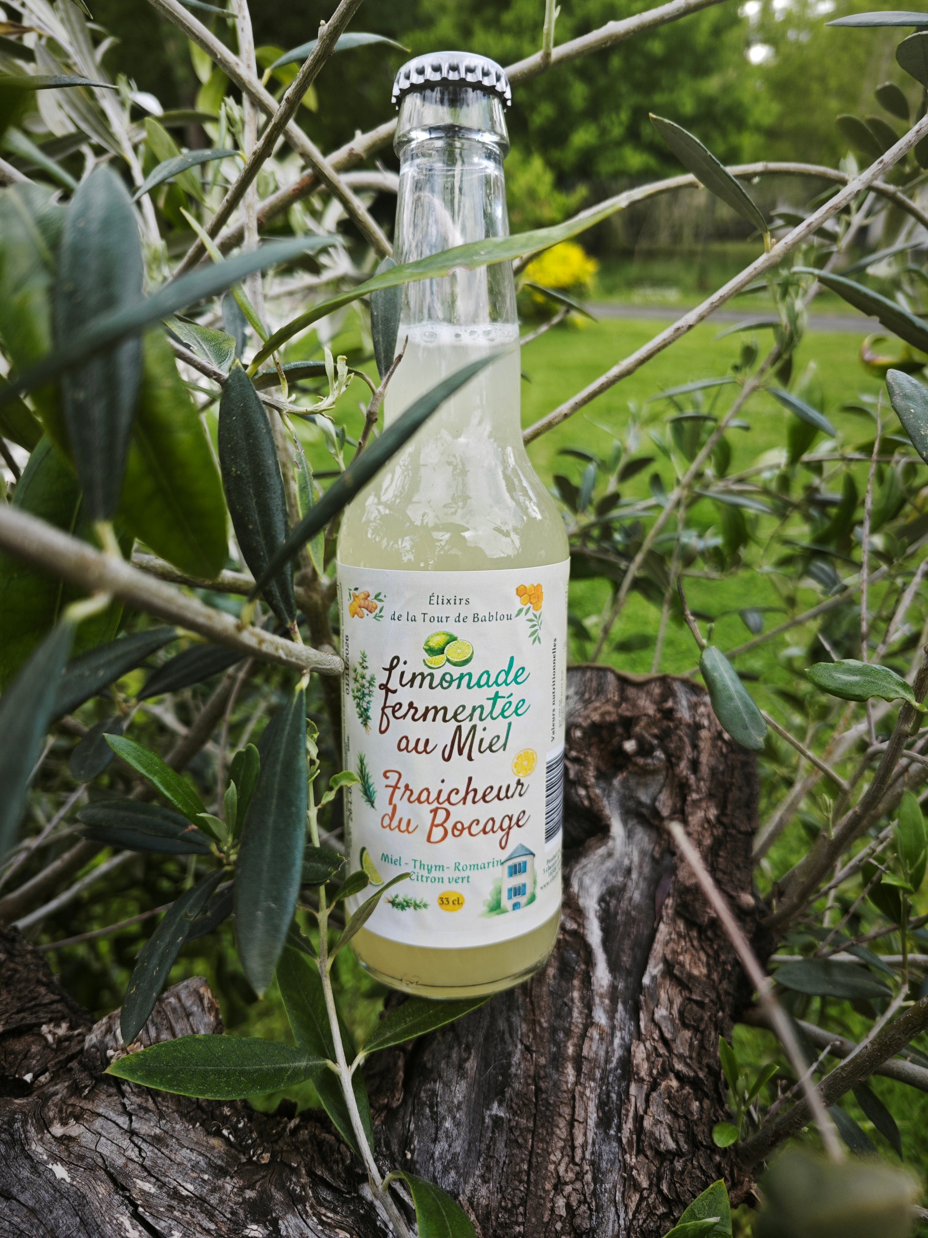 Limonade Fraicheur du bocage – Miel, Thym, Romarin