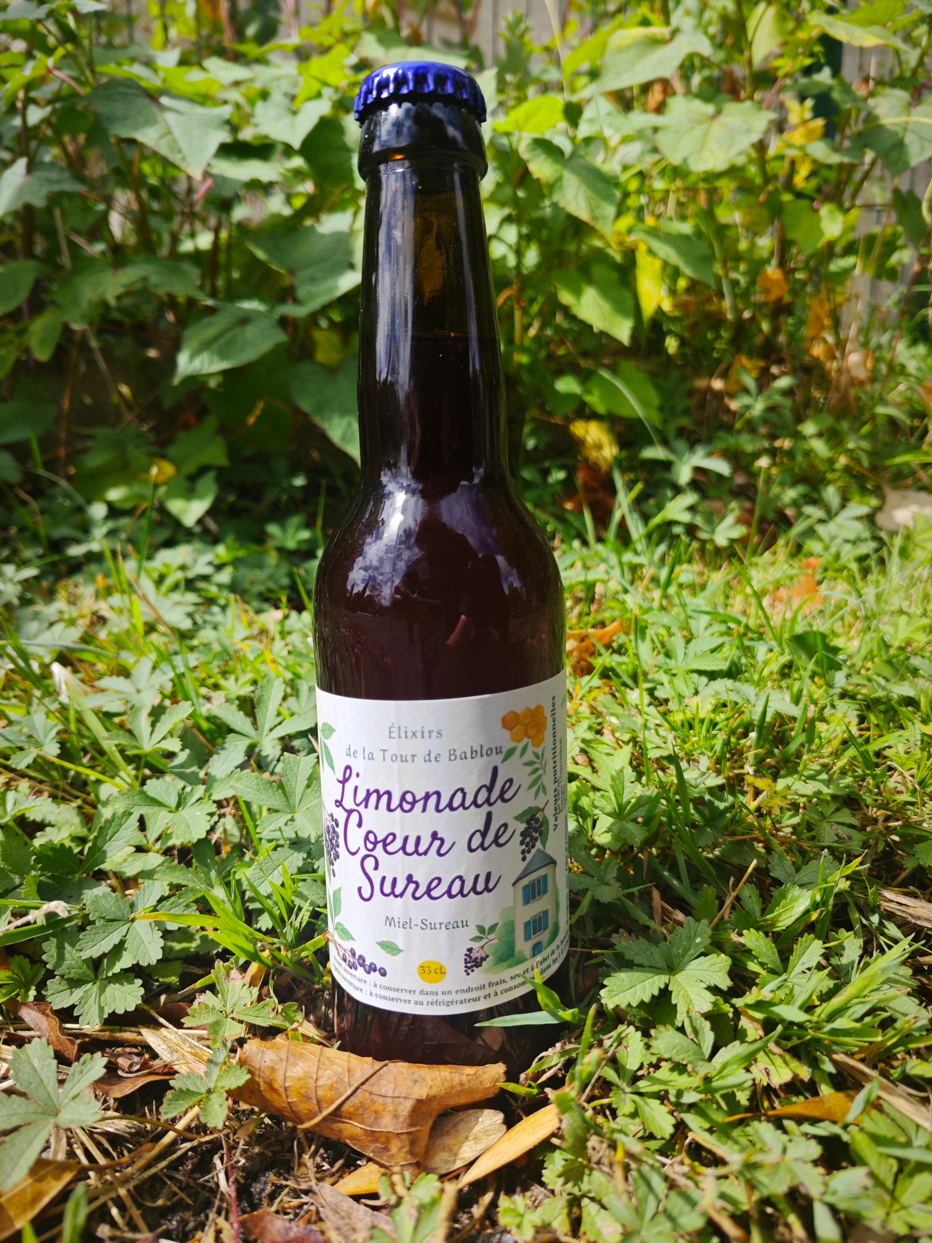 Limonade Coeur de Sureau– Miel, Baie de Sureau